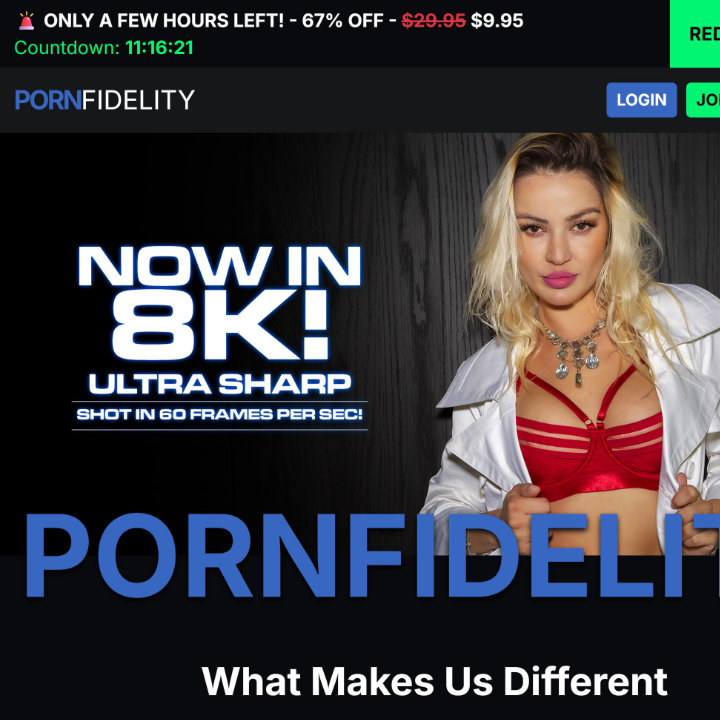 PornFidelity premium porn site